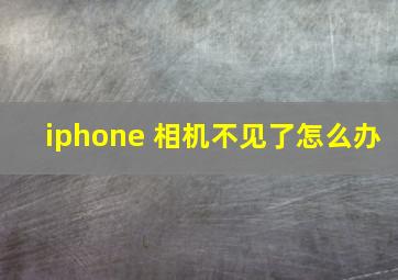 iphone 相机不见了怎么办